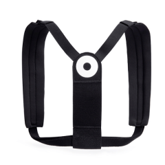 BLACKROLL POSTURE belt