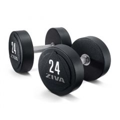 Dumbbell professional, solid steel, urethane (2 gab)