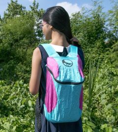 The Mini Backpack Plus backpack