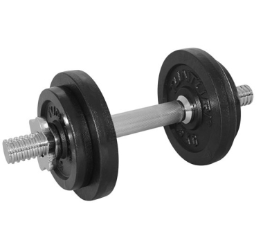 Dumbbell with Threaded Rod Tunturi, 10 kg
