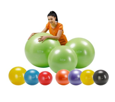 Gymnasium Gymnic Plus, 65 cm