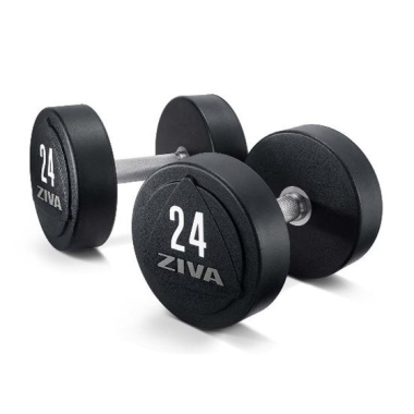 Dumbbell professional, solid steel, urethane (2 gab)