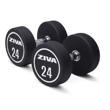 Dumbbell ZIVA XP Urethane Professional (2 pcs)
