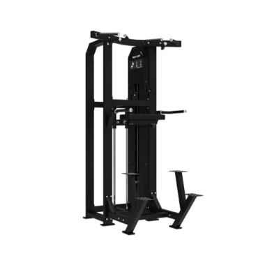 Dual Assisted Chin Up/Dip Machine with Weight Stack TUNTURI Platinum V-series