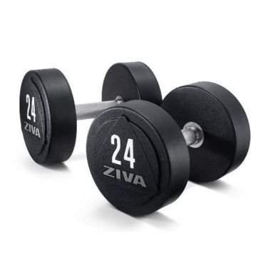 Dumbbell professional, solid steel, urethane (2 gab)