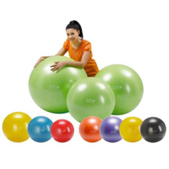 Gymnasium Gymnic Plus, 55 cm