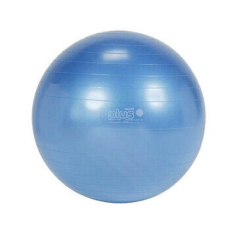 Gymnasium Gymnic Classic Plus, 65 cm