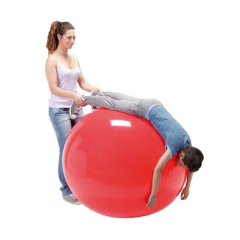 Exercise ball Physio Gymnic, 120 cm