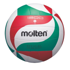 Volleyball for Molten 1500 training