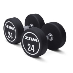 Dumbbell ZIVA XP Urethane Professional (2 pcs)